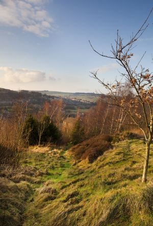 haworth from black moor road sm.jpg